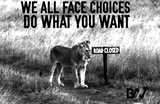 FACE CHOICE WallArt